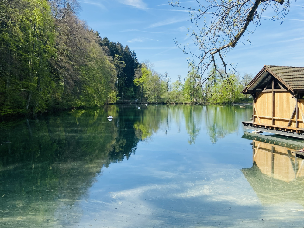A peaceful view of the Drei Weieren ponds in St. Gallen in mid-April, with trees beginning to sprout fresh green leaves and soft reflections in the calm water.