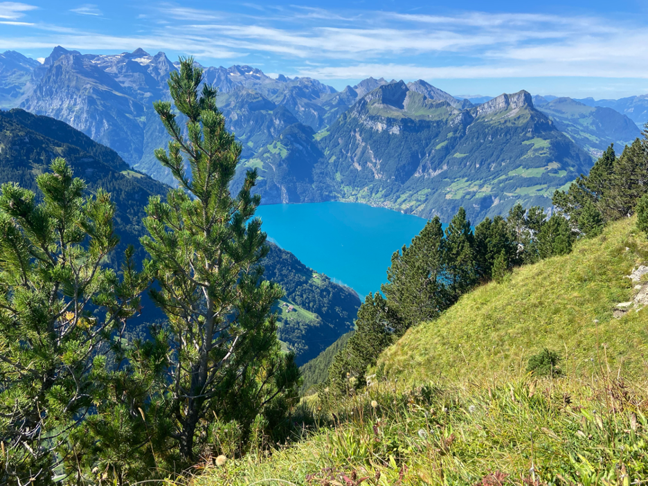 Day trip from Zurich to Stoos: Breathtaking view from Fronalpstock showcasing Lake Lucerne and the majestic Central Swiss Alps