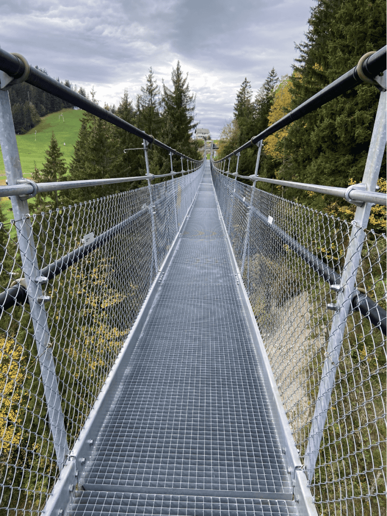 A perspective from the start of the 374-meter-long Skyline Suspension Bridge soaring above the Lauitobel Gorge.