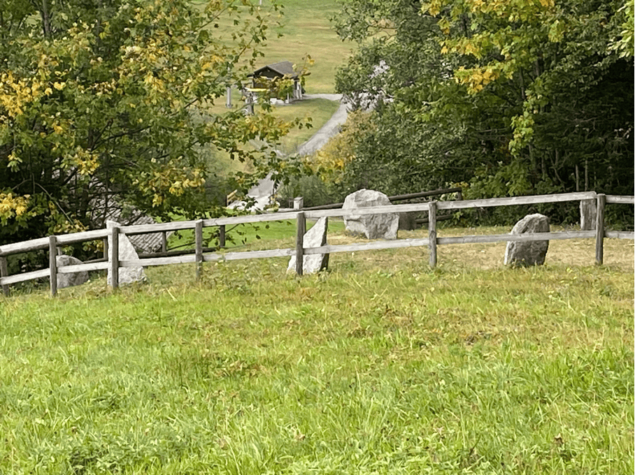 A serene view of the stone circle located along the energy path on Mostelberg, surrounded by lush greenery and serene alpine nature.