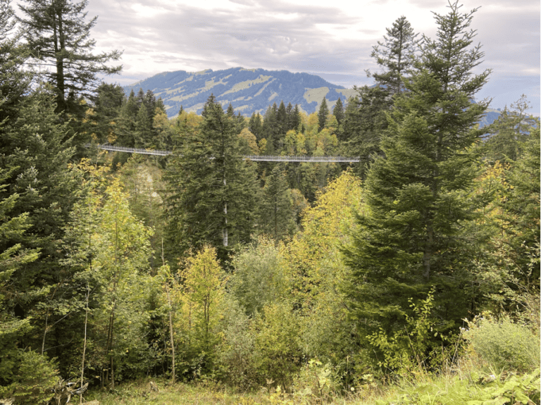 A breathtaking view of the Skyline Suspension Bridge on Sattel-Hochstuckli in Central Switzerland, a must-visit attraction for families exploring Switzerland with kids. The suspension bridge spans over a lush green wooded valley.