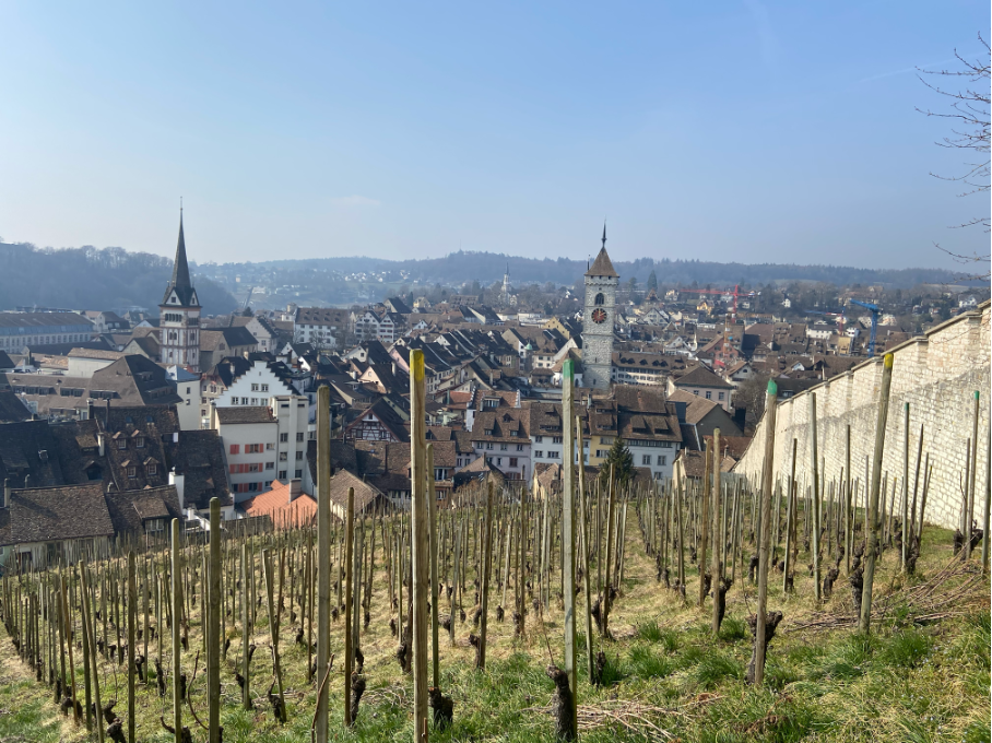 View from Munot Fortress, overlooking Schaffhausen’s charming cityscape and surrounding vineyards.