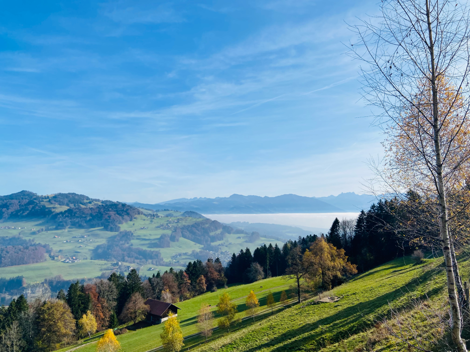 Scenic view on the way back to Wald ZH from Bachtel, showcasing rolling hills, lush forests, and stunning Alpine landscapes—one of the best hikes near Zurich for breathtaking nature views.