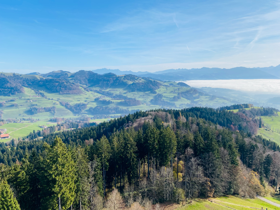 A mesmerizing view from the top of Bachtel Tower, looking down on a vast sea of fog, making this hike a must for nature lovers seeking the best hikes near Zurich.