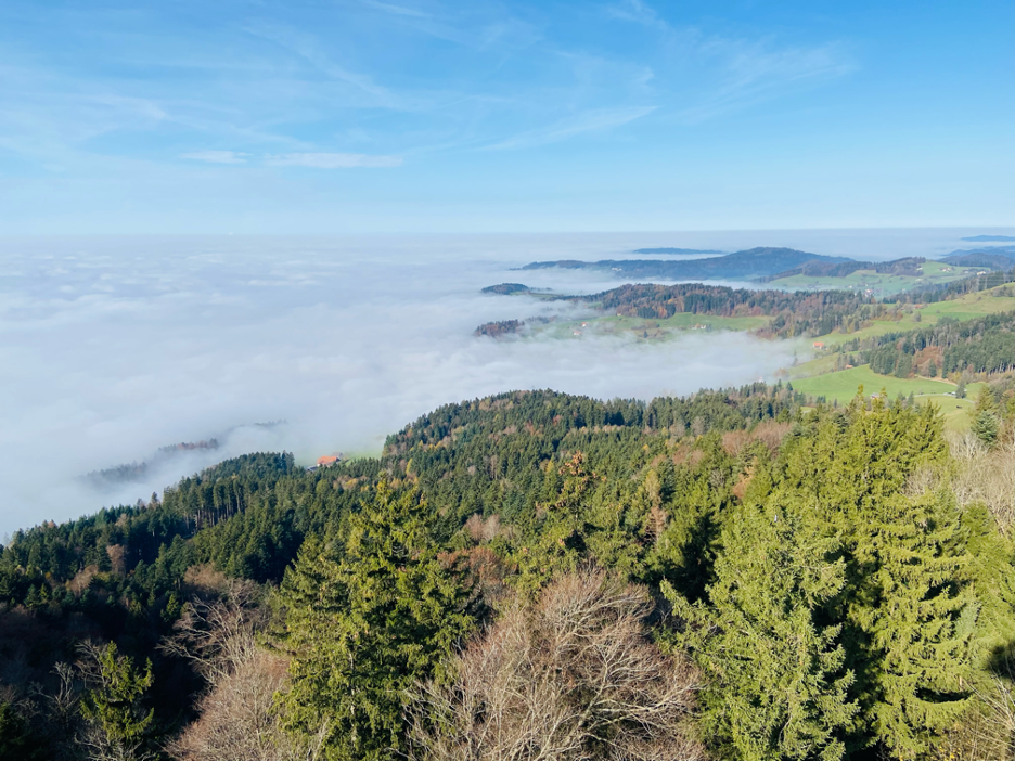 icturesque scenery from Bachtel Tower, showcasing rolling hills, and misty valleys —an unforgettable sight on one of the best hikes near Zurich.