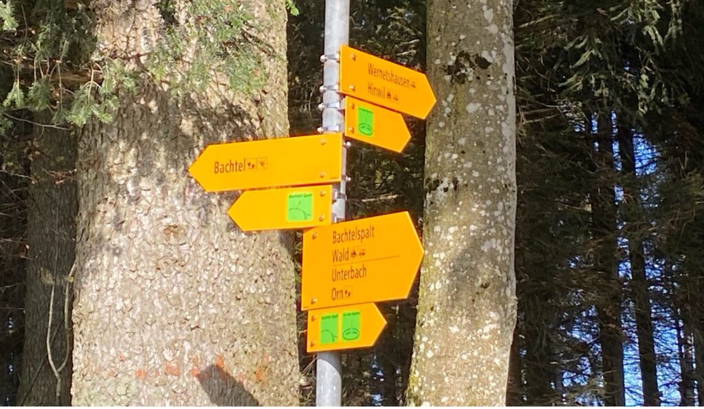 A bright yellow Swiss hiking signpost marking the route to Bachtelspalt, guiding adventurers through one of the highlights of the Bachtel Mountain trail.