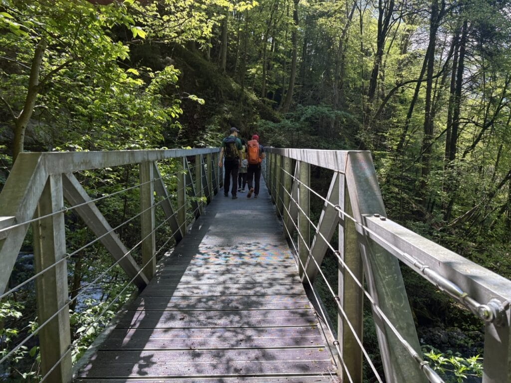 Bridge along forest hiking trail near Seerenbach Falls. 