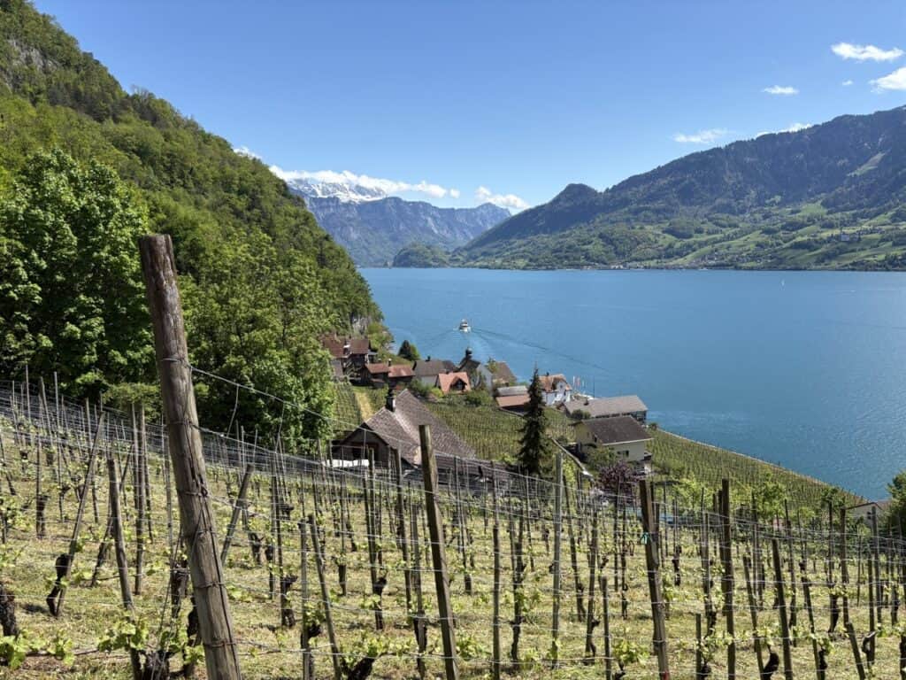 View down to Quinten village with vineyards and Lake Walensee. 