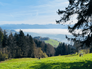 Stunning panoramic view from Bachtel Tower, with a sea of fog covering the valleys and the majestic Swiss Alps rising in the distance—one of the best hikes near Zurich for breathtaking scenery.
