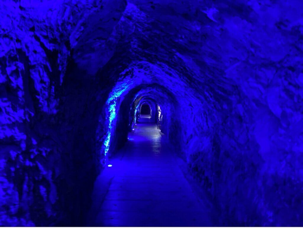 Tunnel that leads to the thermal springs at Tamina Gorge.