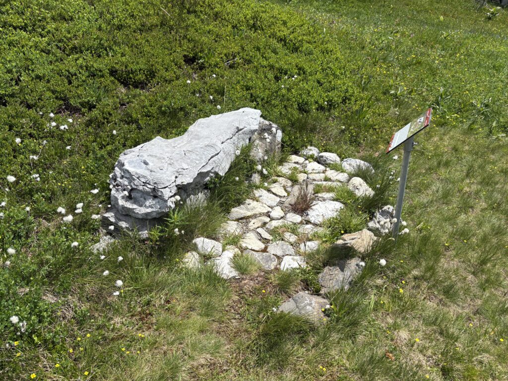 Simple stone bench called the Akuplatz along the Grotzli Trail on Fürenalp, an energy place where the earth nourishes body, mind, and spirit
