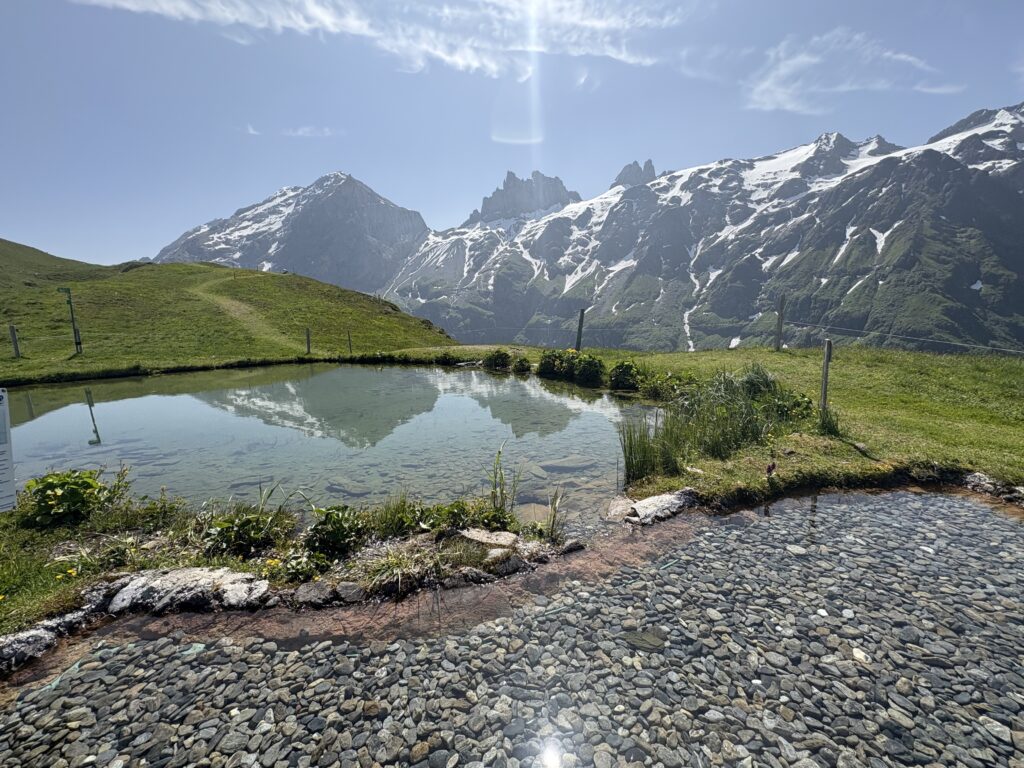 Spiegelseeli Mirror Lake on Fürenalp with snow-covered peaks reflected in the water, part of one of the easy hikes in Switzerland and a perfect day trip from Zurich.