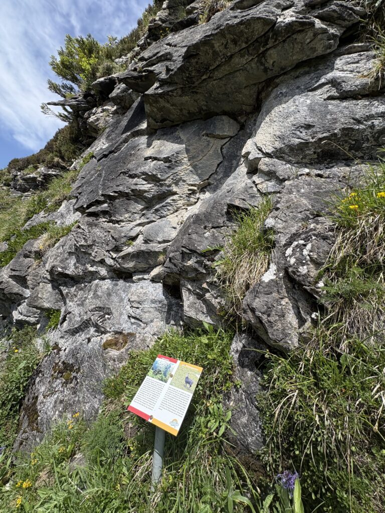 Rock formation called Spitzingstein, part of the twelve energy spots along Fürenalp’s Grotzli Trail