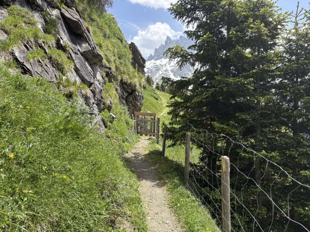 Hiking along the scenic Grotzli Trail on Fürenalp Engelberg.