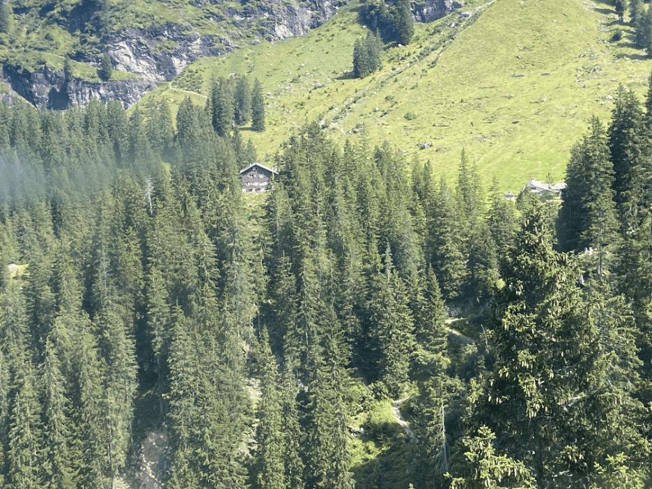 Naturfründeehus perched on a hill at Mettmenalp, surrounded by green meadows and trees.