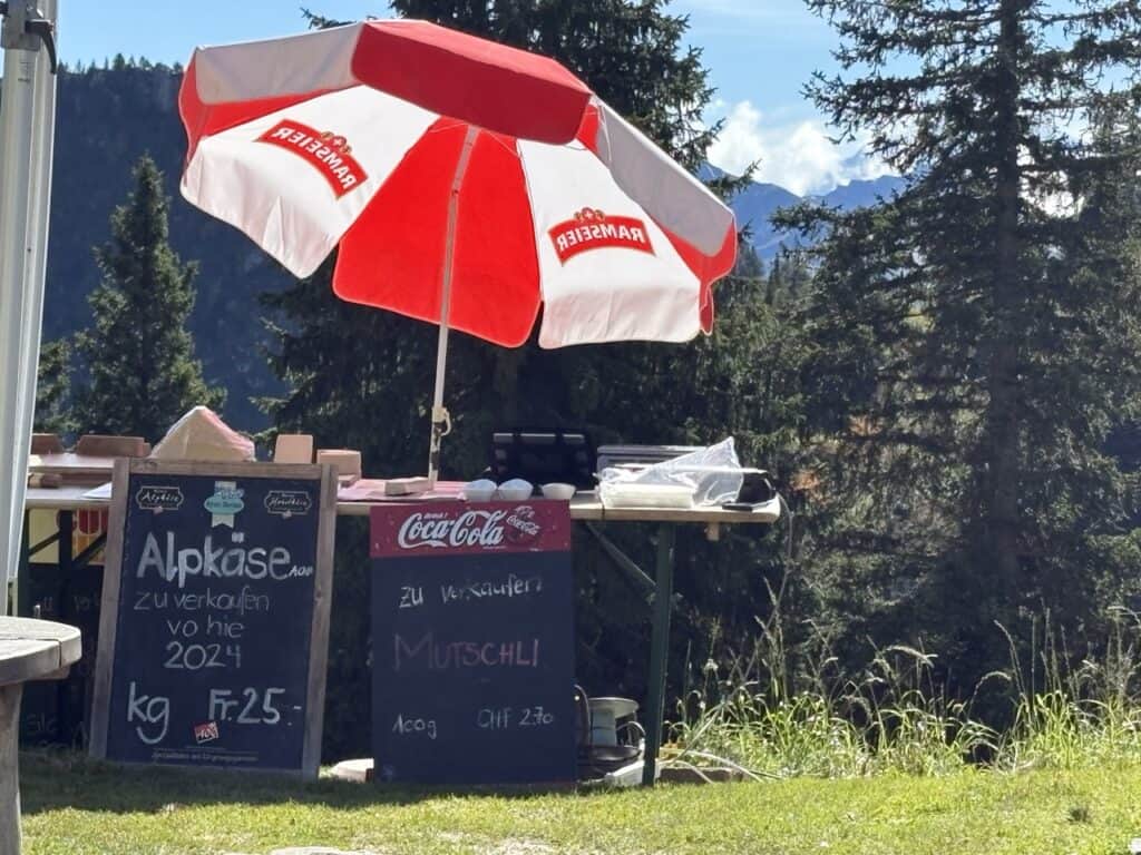 Fresh alpine cheese displayed for sale on Oberstockenalp.