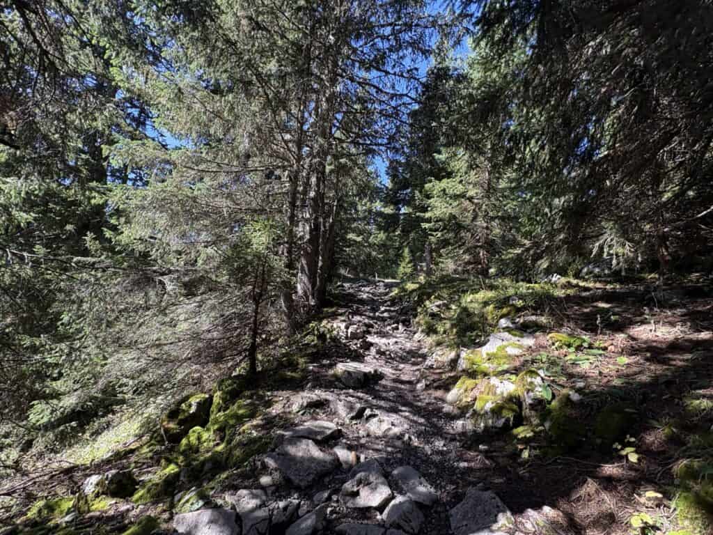 Rocky hiking path winding through forest toward Hinterstockensee lake.