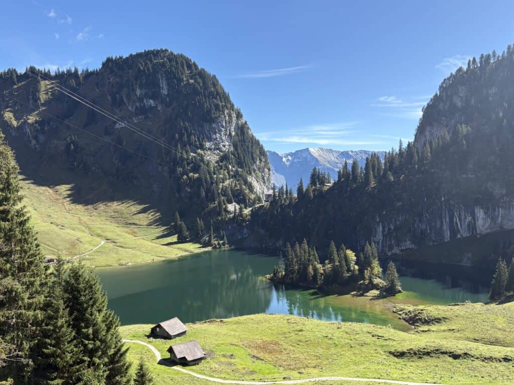 Elevated view looking down at the emerald-green Hinterstockensee mountain lake.