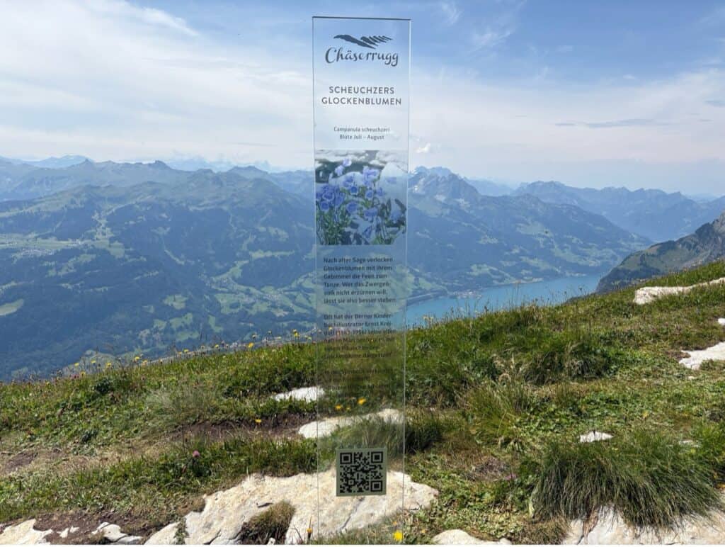 Information board along the Floral Trail explaining local alpine plants.