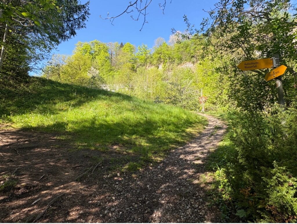 Hiking trail with yellow signposts leading toward the Äulischlucht gorge and its waterfall