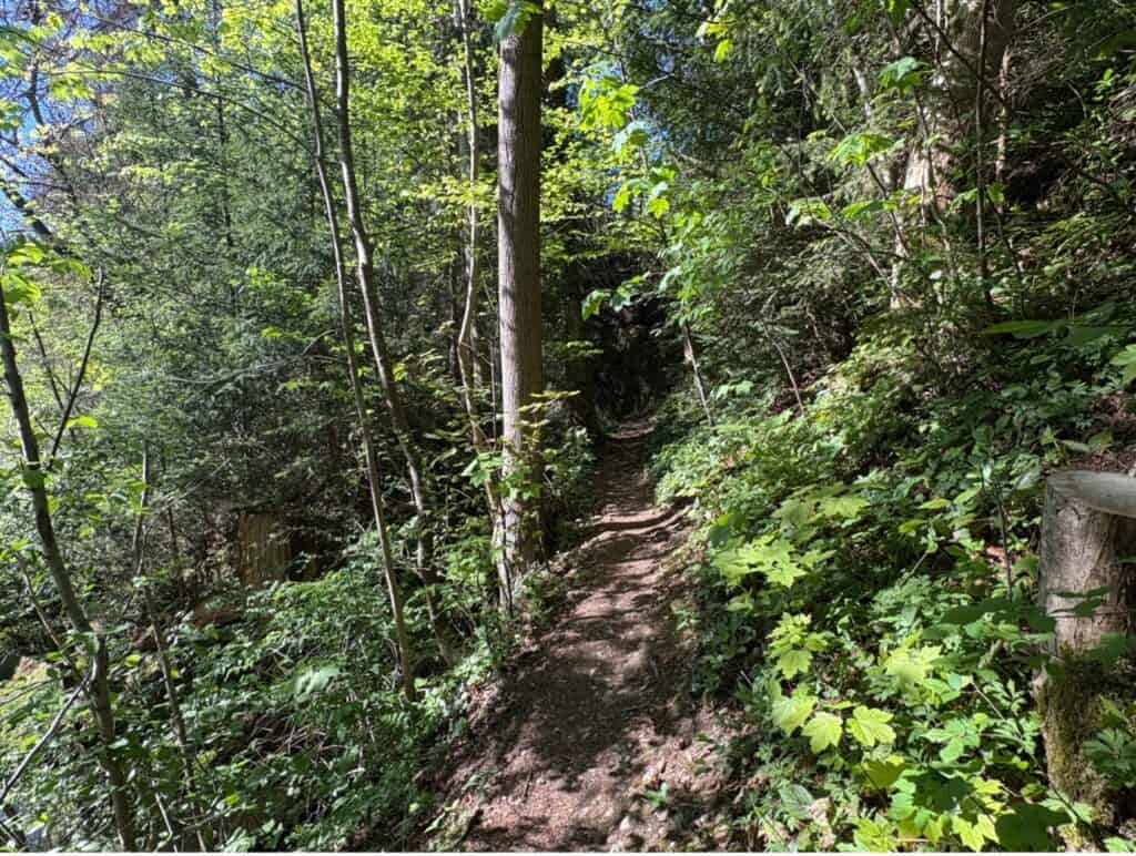 Forest hiking path leading to the Äulischlucht gorge and waterfall