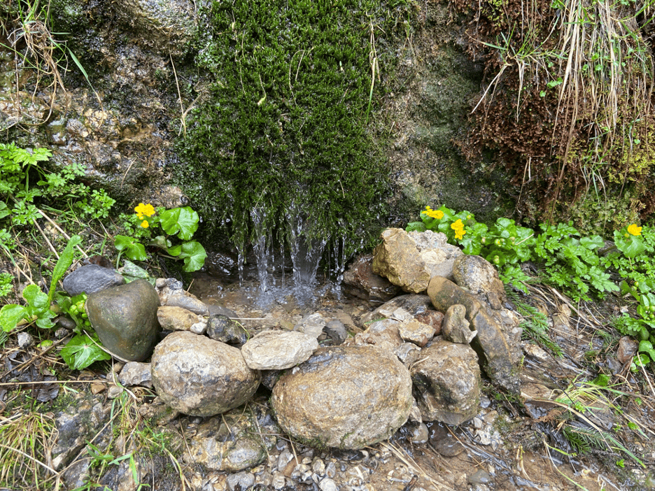 St. James Spring (Jakobsquelle) flowing from the mountainside on Kronberg