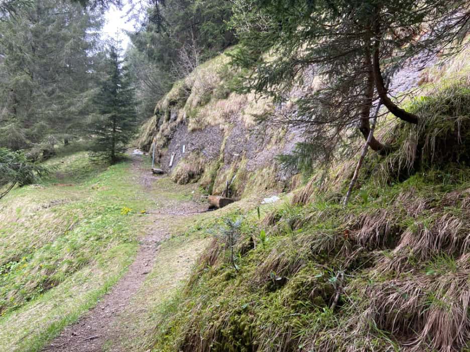 Forest path leading to the St. James Spring on the Kronberg Energy Trail