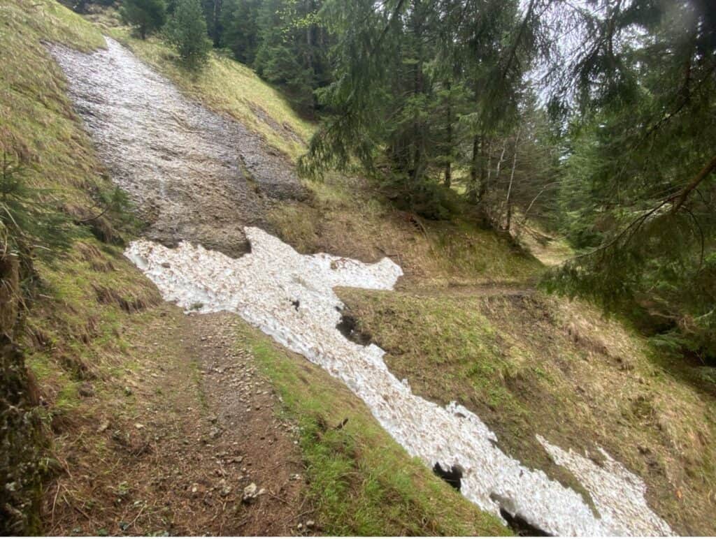 Leftover snow lining the hiking trail on Kronberg during early spring