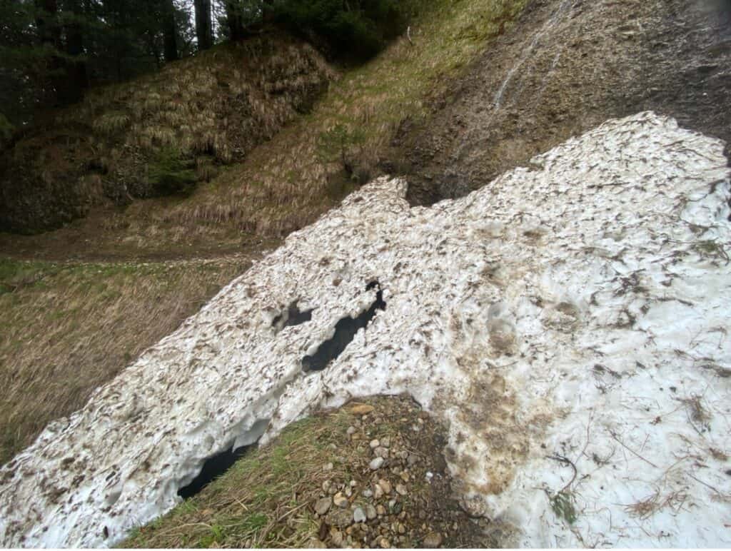 Icy snow field crossing the Kronberg hiking trail in springtime