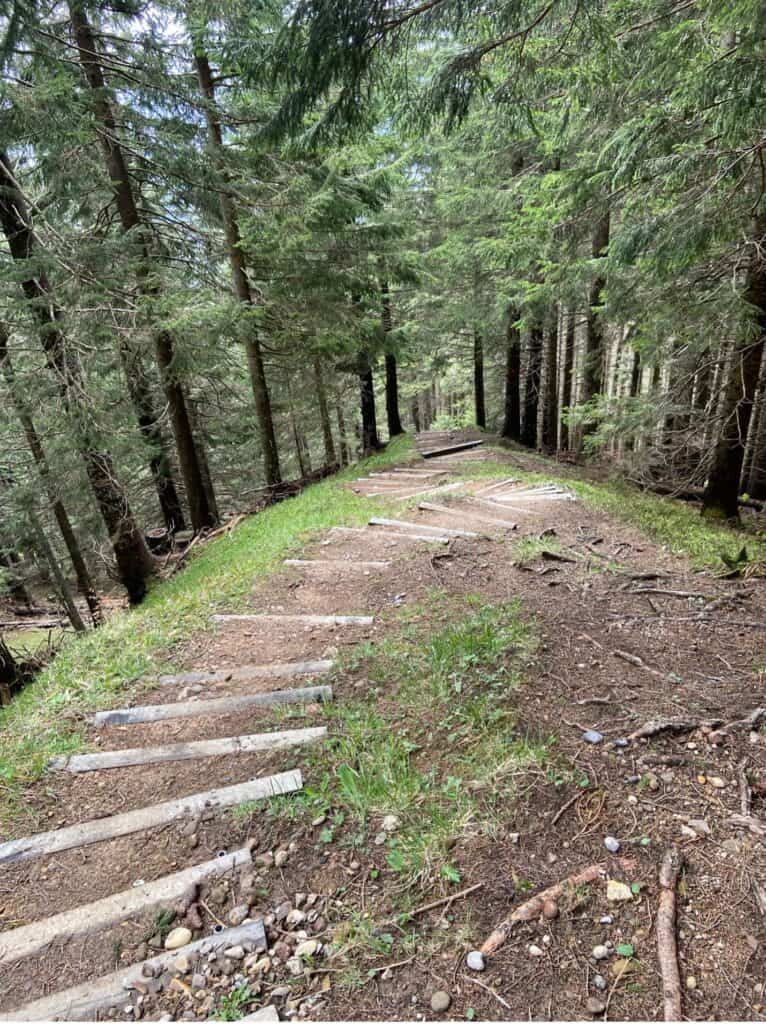 Steep uphill forest trail on the Kronberg Energy Path leading back to the summit station