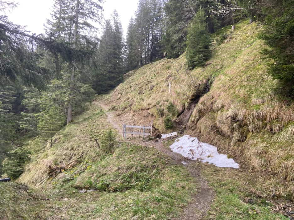 Narrow hiking trail on Kronberg with patches of melting snow in early spring