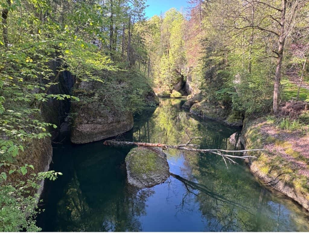 First glimpse of the fairy-like Äulischlucht (Äuli Gorge) with its mossy rocks, seen from the bridge