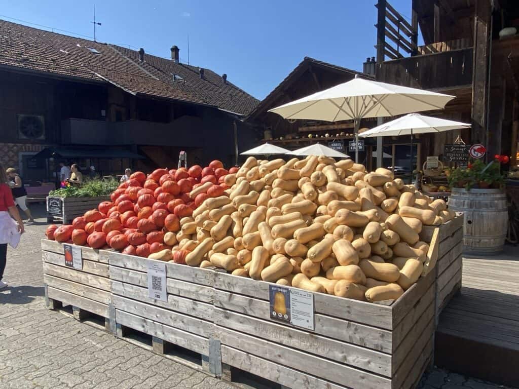 Jucker Farm in Seegräben with its farm restaurant and large pumpkin stand in September.