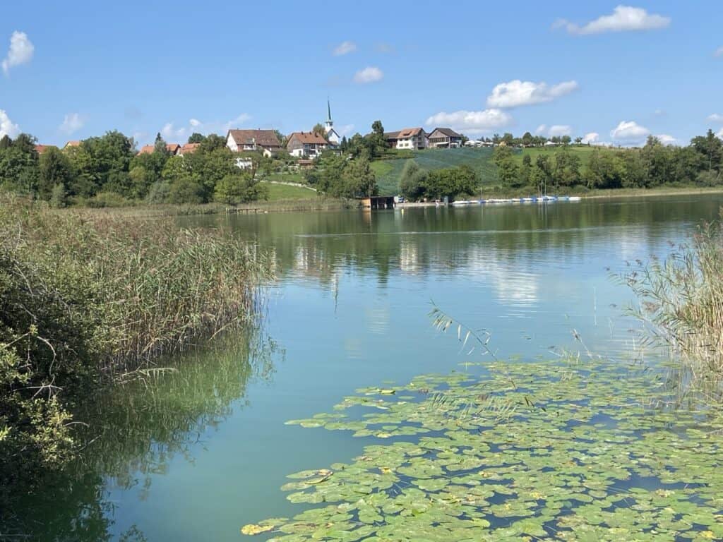 Scenic view of Lake Pfäffikon with the small village of Seegräben perched on a hill above the shoreline. 