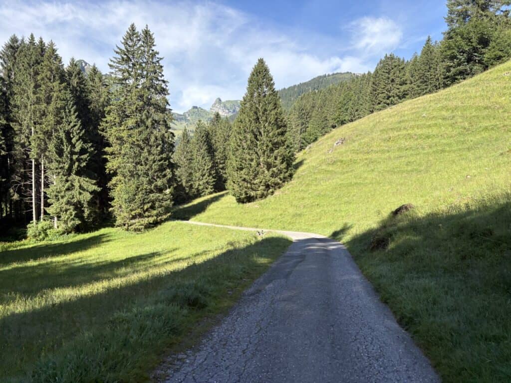 Gravel road leading past alpine meadows and through forest down to Voralpsee.