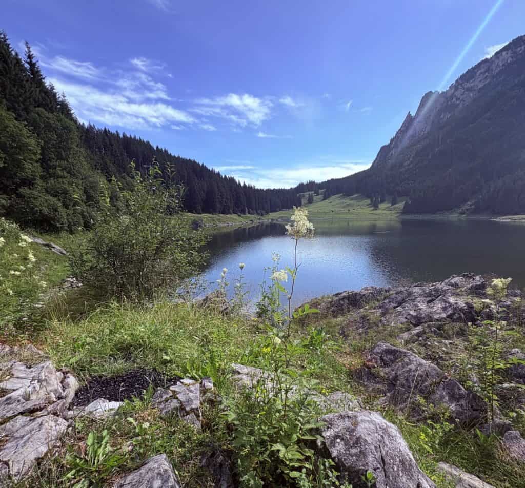 Voralpsee, a serene mountain lake in Switzerland surrounded by mountains, forest, and alpine meadows.