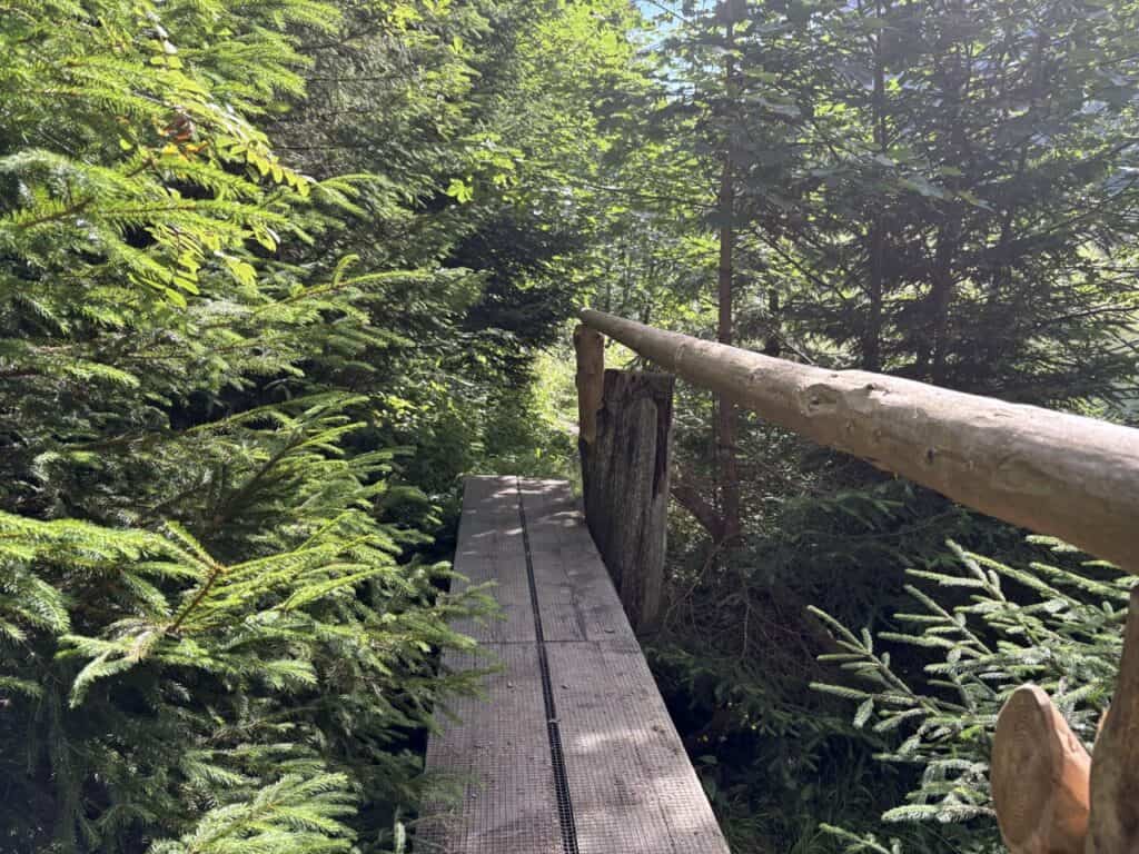 Little wooden bridge leading through a forest near Voralpsee.