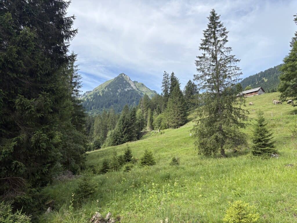 Hiking path leading uphill from Voralpsee to Berggasthaus Voralp. 