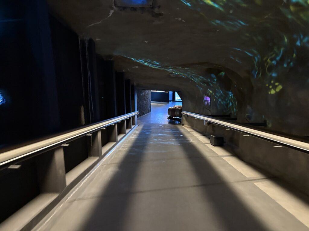 Tunnel with virtual animation and mystical sounds leading from the Hoher Kasten cable car station to the summit area. 
