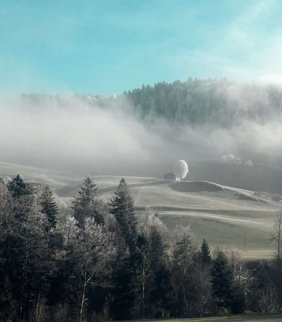 Hilly Appenzell landscape with frost-covered trees on a partly sunny and foggy winter day.