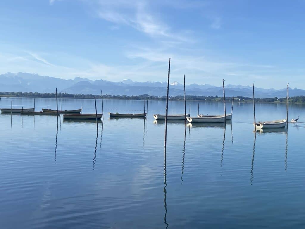 View of Lake Pfäffikon with boats lined up and snow-covered Alps in the distance.