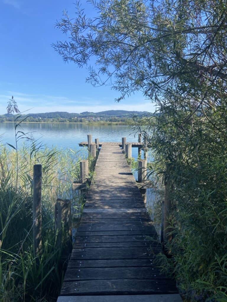 Wooden boardwalk leading through reed beds out toward Lake Pfäffikon, part of the protected wetland area. 