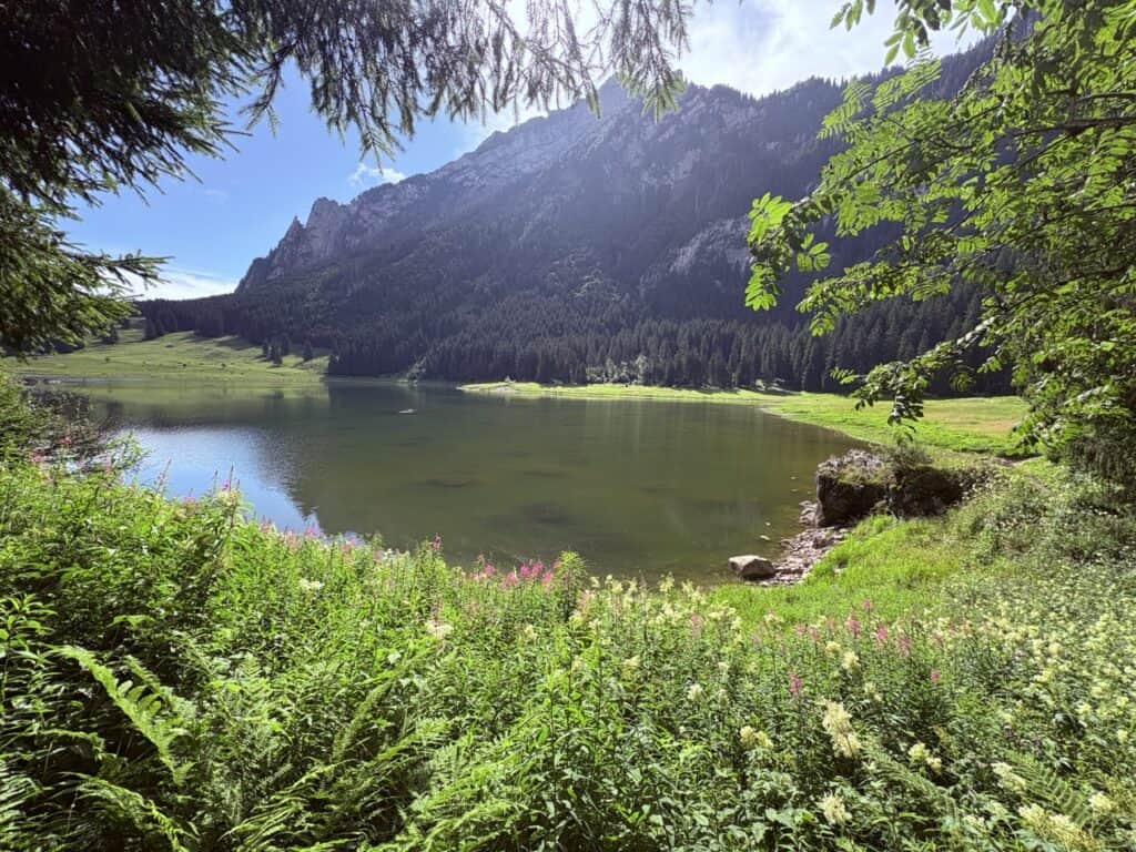 Voralpsee, Swiss mountain lake with green alpine meadows and impressive mountain peaks
