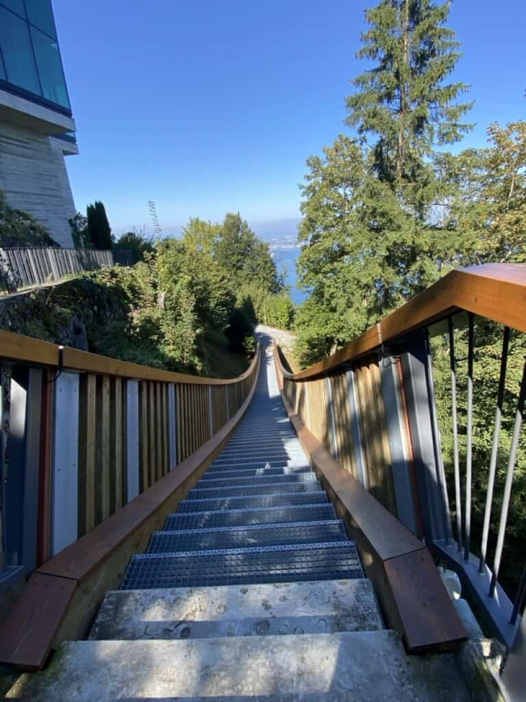 The Bürgenstock Suspension Bridge