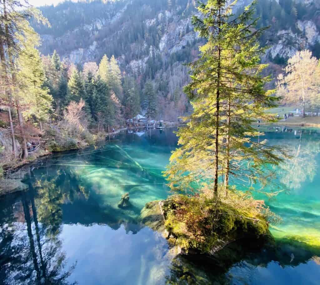 The stunning turquoise-blue Blausee in the Bernese Oberland surrounded by autumn trees. 