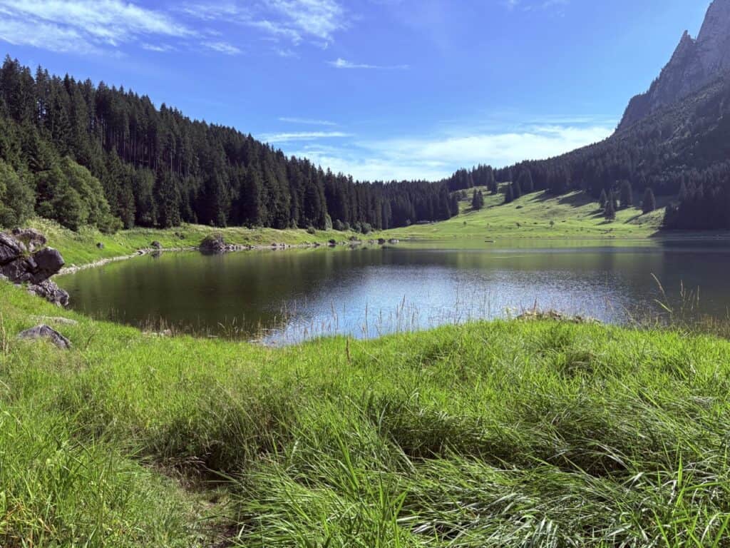 Voralpsee, a peaceful Swiss mountain lake in Eastern Switzerland, surrounded by green meadows, forests and rugged peaks.