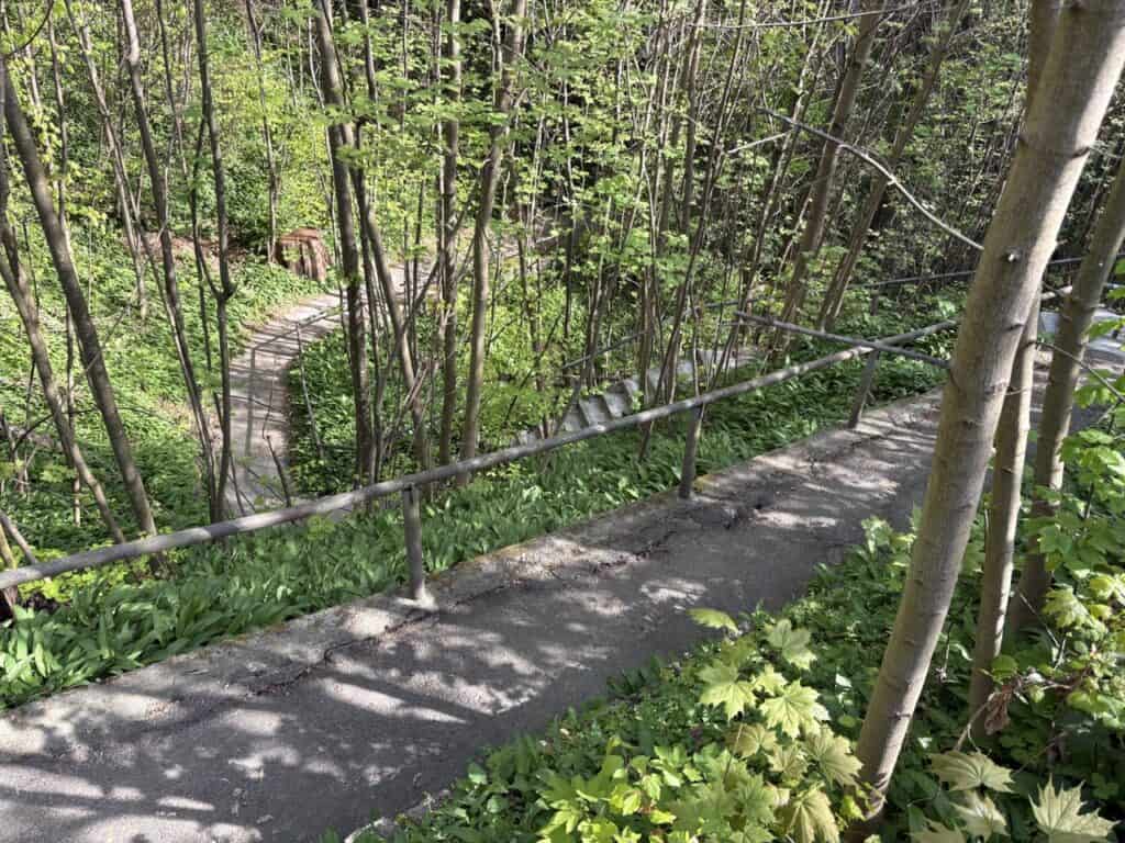 Narrow path leading through a small green ravine