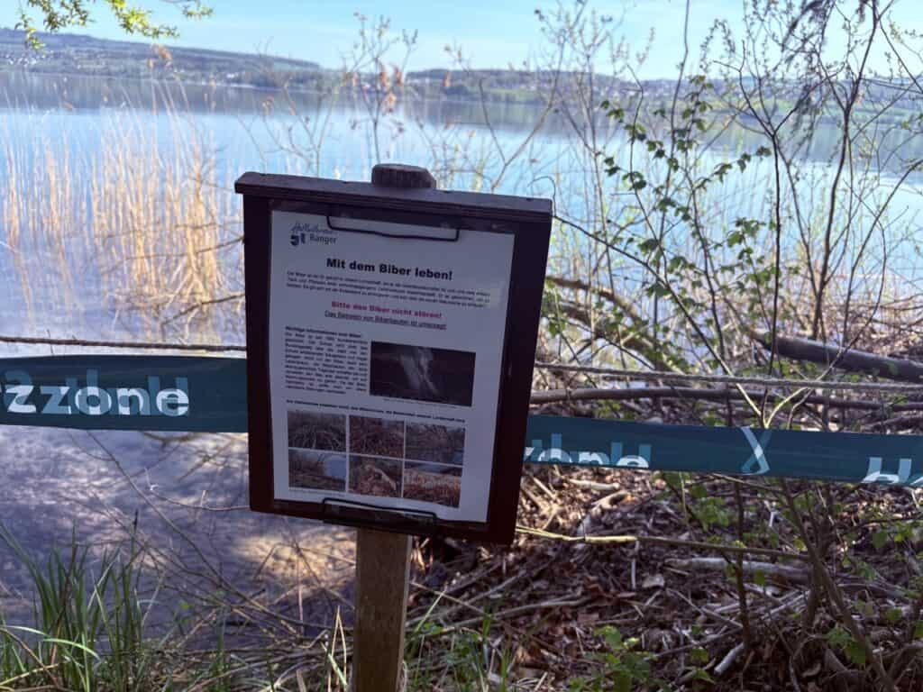 Sign at Lake Hallwil indicating dogs must be on a leash in a beaver protection area