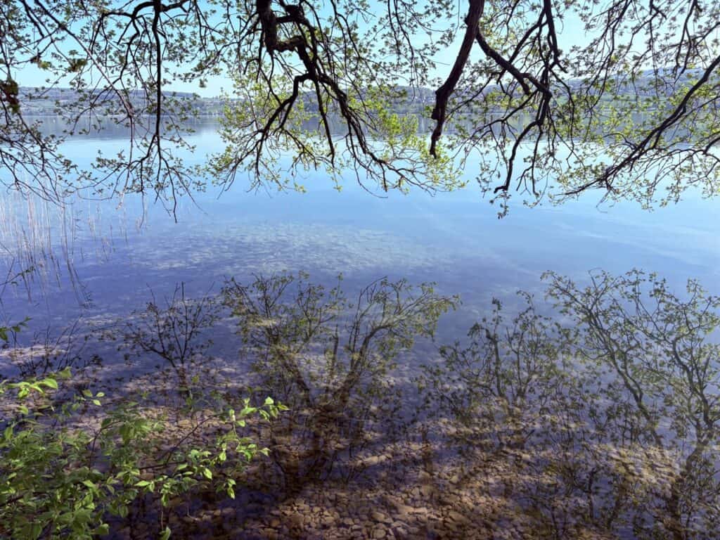 Lake Hallwil in spring on a sunny day with the trees reflecting in the clear water