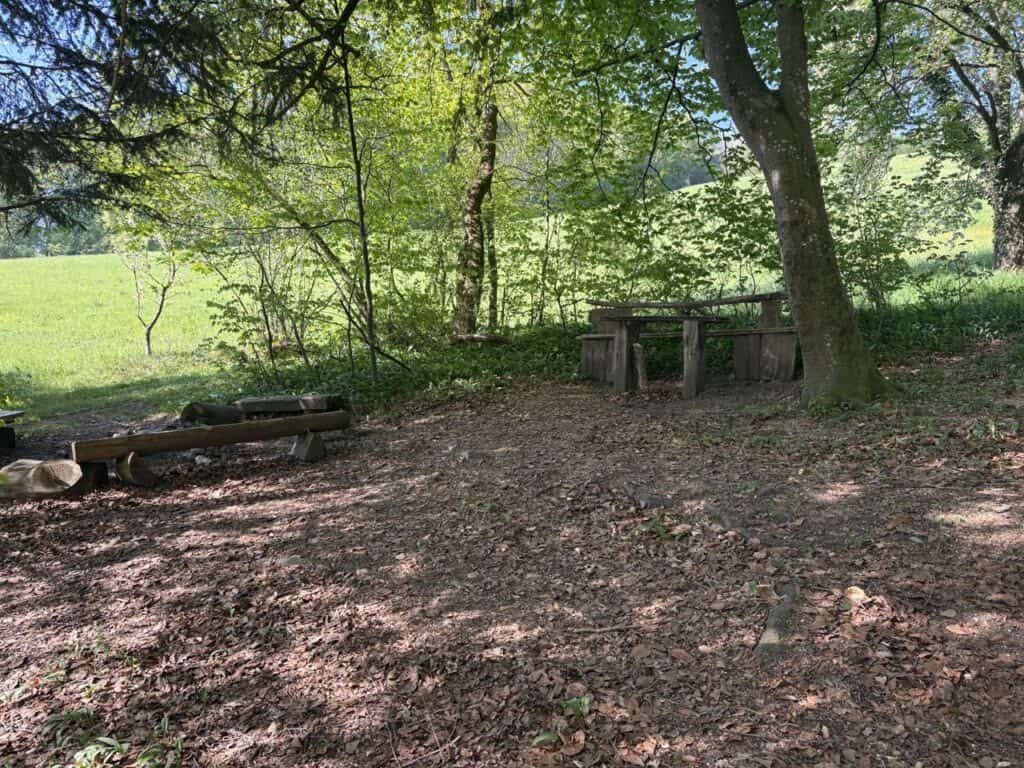 Picnic area in a forest near Lake Hallwil with benches and a fireplace
